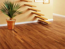 Beautiful Hardwood Floor