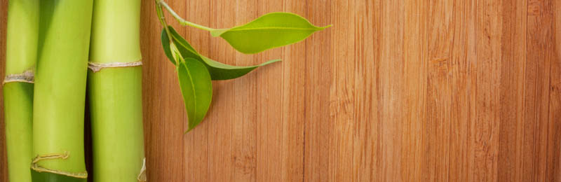 Bamboo Floor Image