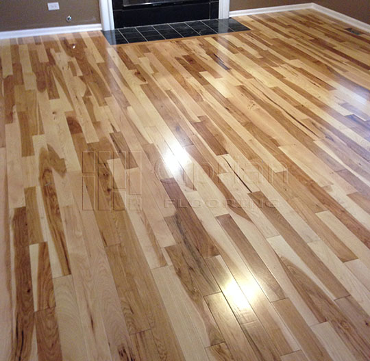 Hardwood Floor